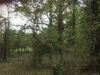 152 Dalrymple Rd photo